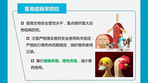 疫情防控期間強(qiáng)化農(nóng)產(chǎn)品質(zhì)量安全監(jiān)管，嚴(yán)防禁用獸藥等風(fēng)險(xiǎn)隱患