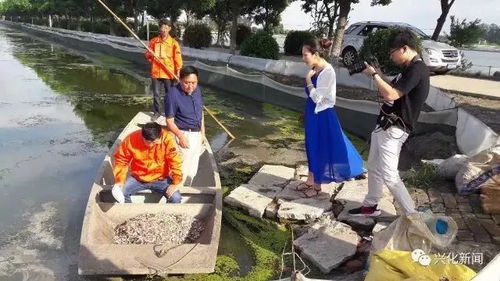 從央視到國(guó)家農(nóng)業(yè)機(jī)構(gòu)點(diǎn)贊 通威魚(yú)、海大魚(yú)、白蕉海鱸、興化大閘蟹，誰(shuí)更勝一籌？